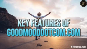 Key Features of GoodMoodDotCom.com